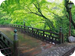 山中温泉.png