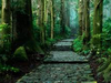 熊野古道.png